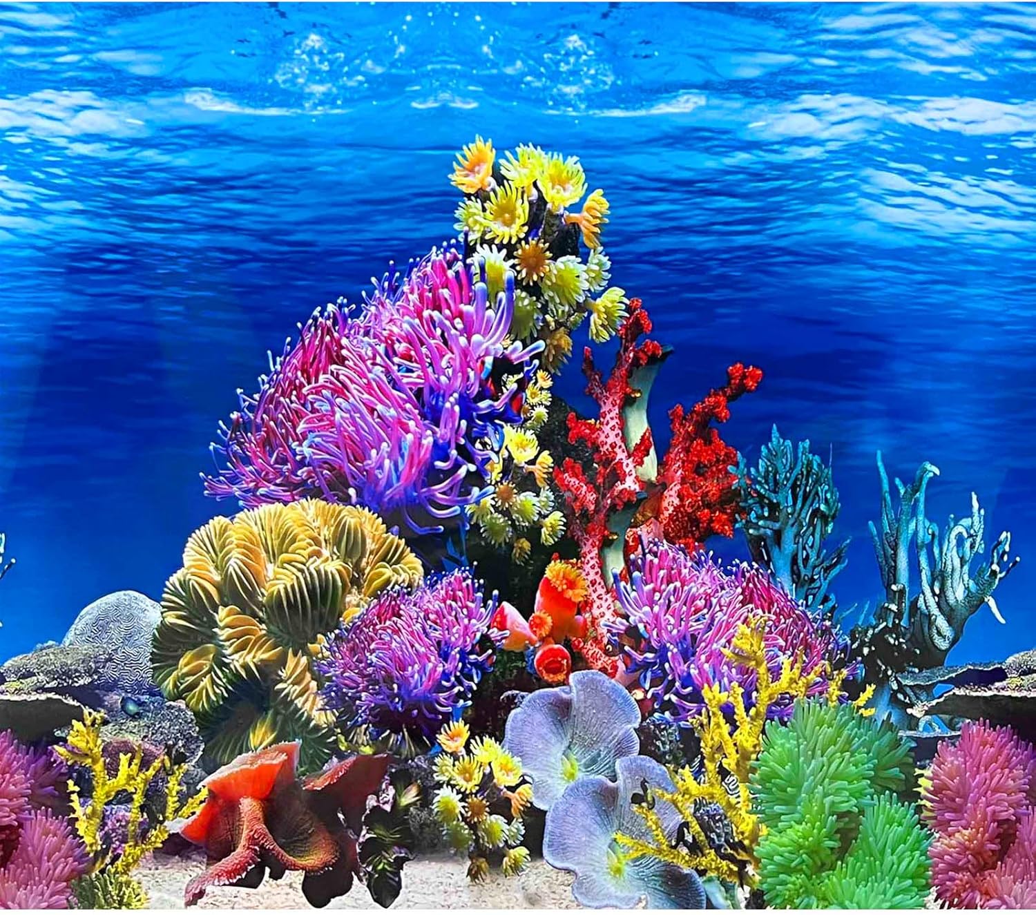 Aquarium Accessories