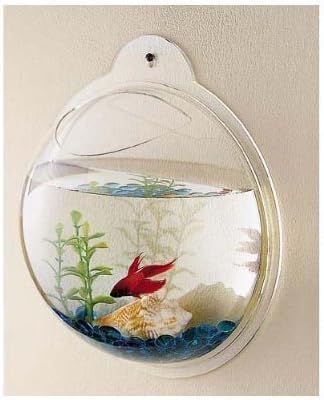 PRUGNA Wall-Hanging Fish Bowl Acrylic Wall-Mounted Plant Pot 1 Gallon Fish Tank 11.5-inches Decoration Planter
