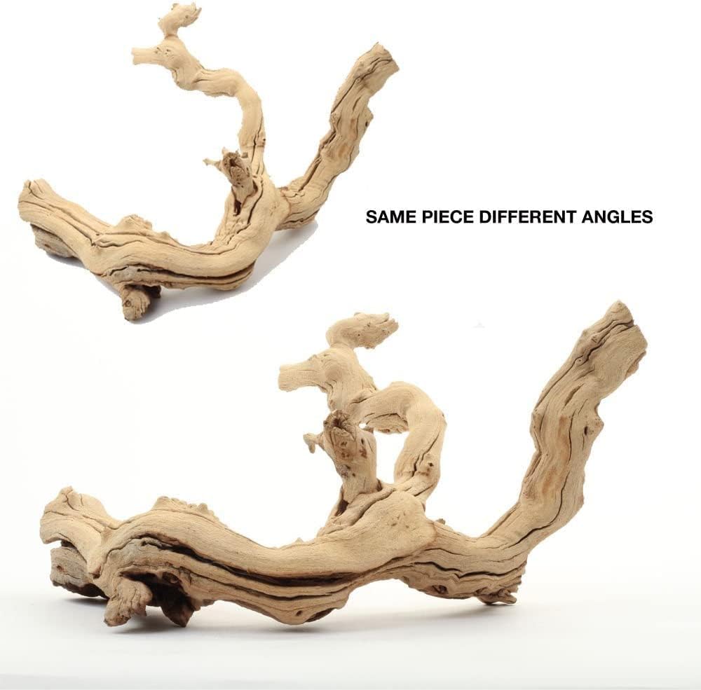 Koyal Natural Grapewood Vine Branch, 6-Inch