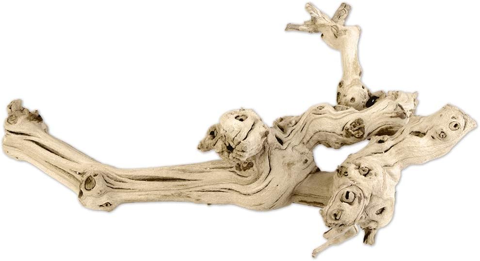 Koyal Natural Grapewood Vine Branch, 6-Inch