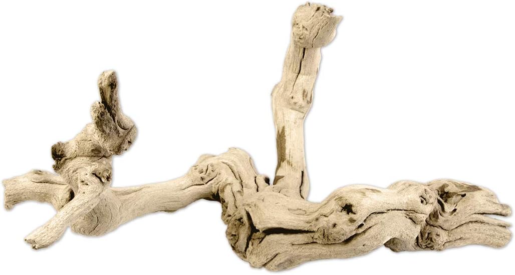 Koyal Natural Grapewood Vine Branch, 6-Inch