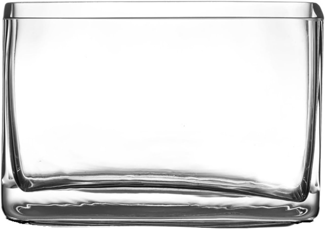 Fish Tank, Glass Aquarium, Living Room, Small Rectangular mini Aquarium