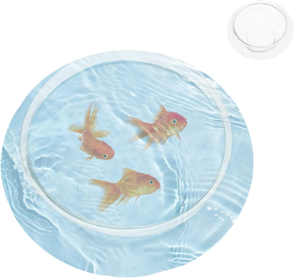 Milisten Glass Bubble Bowl Round Fish Bowl Clear Plant Terrarium Air Planter Bulb Succulent Pot Flower Vase Desk Decoration S