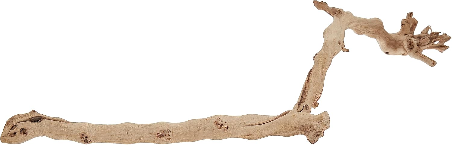 Exo Terra Forest Branch, Large