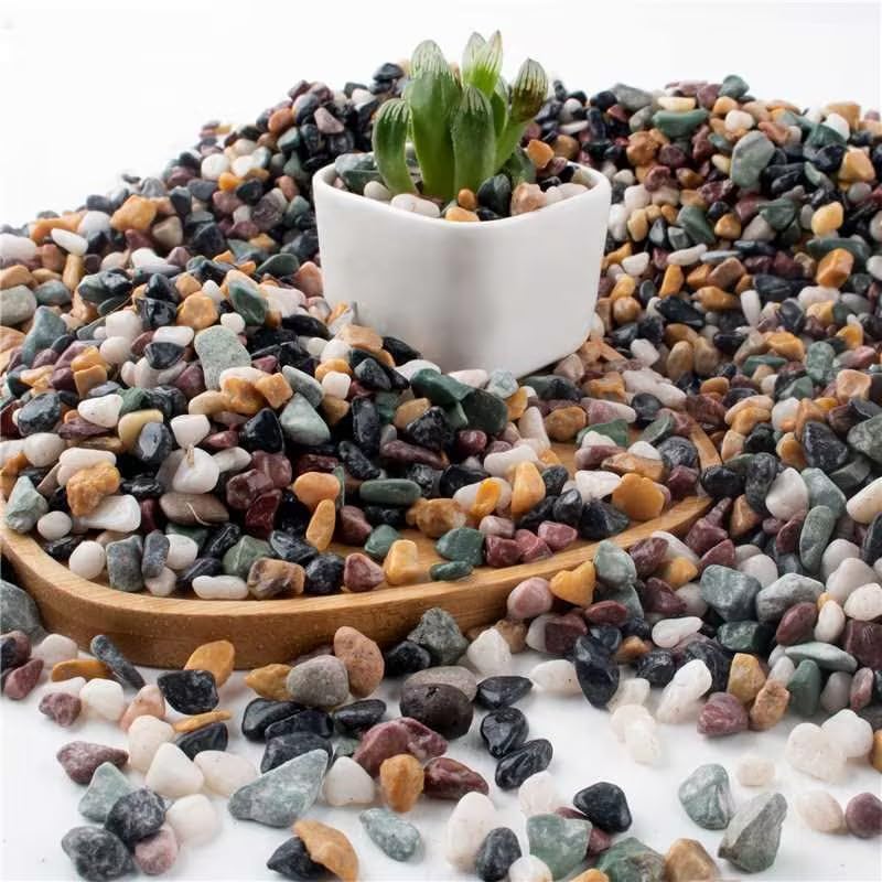 AVALUTION Aquarium Gravel for Plants -7lb Fish Tank Gravel for Succulent Cactus & Bonsai, 1/4Inch Decorative River Rocks Pebbles for Gardening, Flower Pots, Landscaping, Terrarium