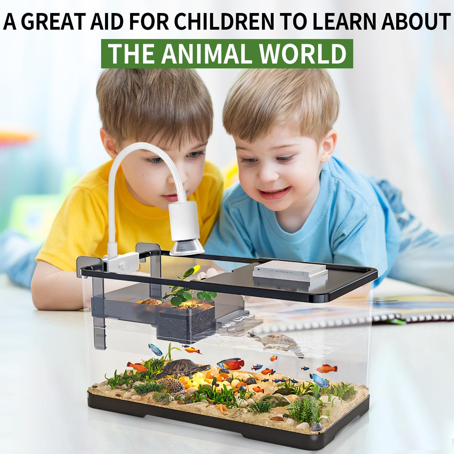 (Tank + Light + Filter + Filter Balls) Turtle Tank Kit, Turtle Tank Starter Kit,Bottom Drainage, Multi-Function Areas for Turtles, Crabs,Fishes, Amphibians,Reptiles. (15.75 x 8.64 x 8.64 Inch)