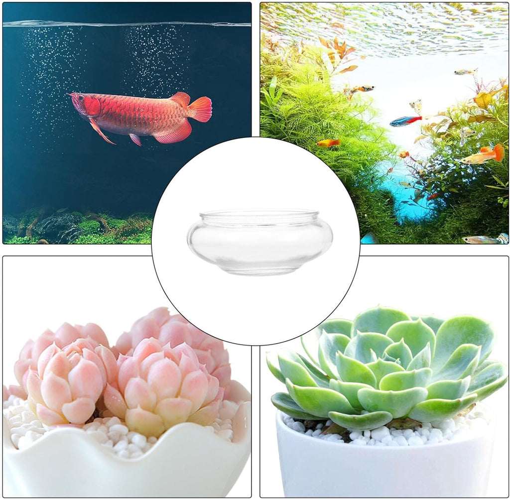 Milisten Glass Bubble Bowl Round Fish Bowl Clear Plant Terrarium Air Planter Bulb Succulent Pot Flower Vase Desk Decoration S