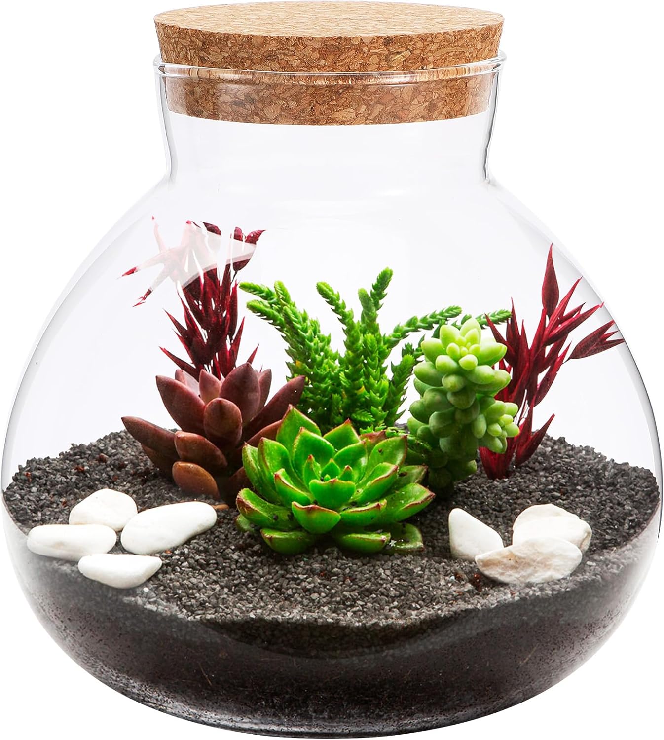 Milisten Glass Plant Terrarium, Cork Micro Landscape Terrarium, Glass Fish Bowl Vase Container, Plant Propagation Station for Fish Home Office Decor, 15x16cm