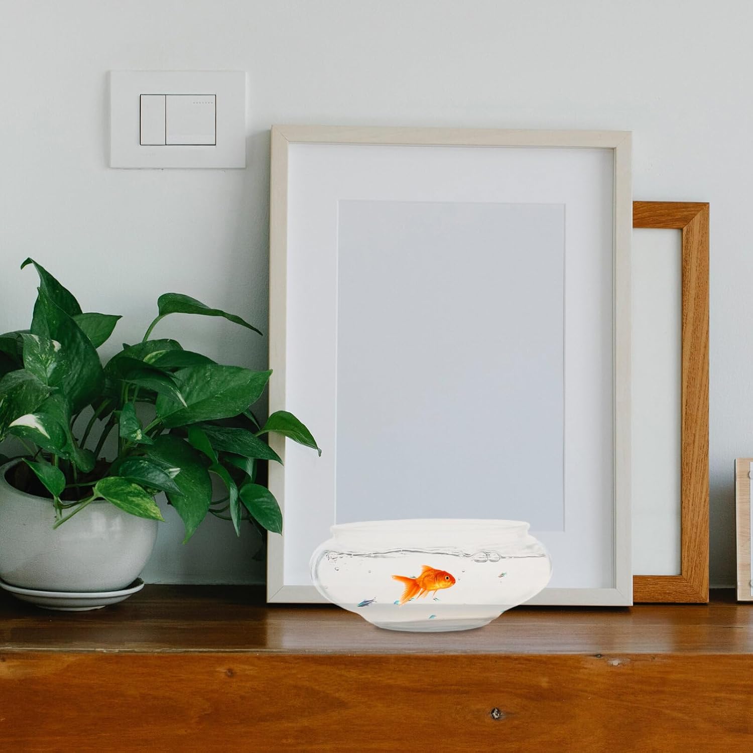 Milisten Glass Bubble Bowl Round Fish Bowl Clear Plant Terrarium Air Planter Bulb Succulent Pot Flower Vase Desk Decoration S