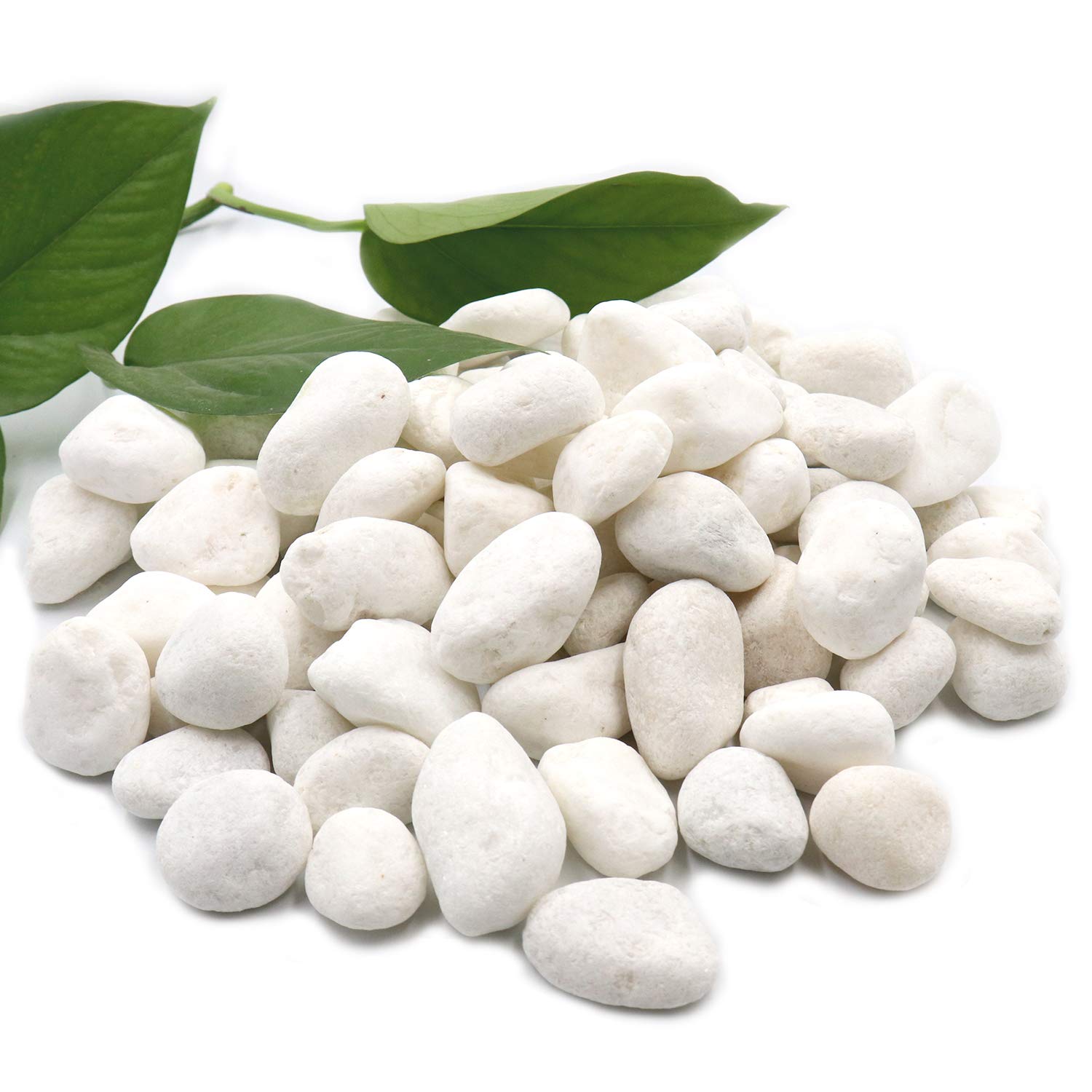 Unpolished White Pebbles 10 Lb. - 1 inch Pebbles for Plants, Gardens, Fish Tank Gravel, Décor, Landscaping, Succulent, Terrarium, 100% Natural Stone Pebbles Decorative Rocks, Matte White Finish