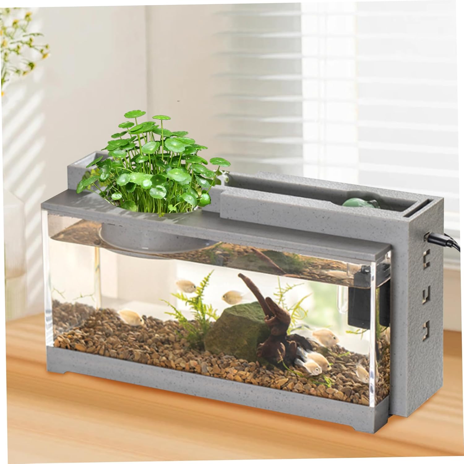 Small Aquarium|Fish Tank Quiet Small Aquarium 3 in 1 Tank with Filter, Light ＆ Water Pump Desktop Fish Water Cycling Betta for Office & Home Decor