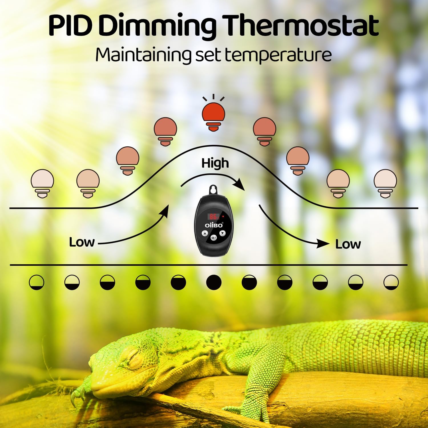 Oiibo Reptile Light Fixture with Dimming Thermostat, 5.5 Inch Deep Dome Lamp Fixture, PID Temperature Controller for Reptile Heat Lamp Bulb, Max 100W