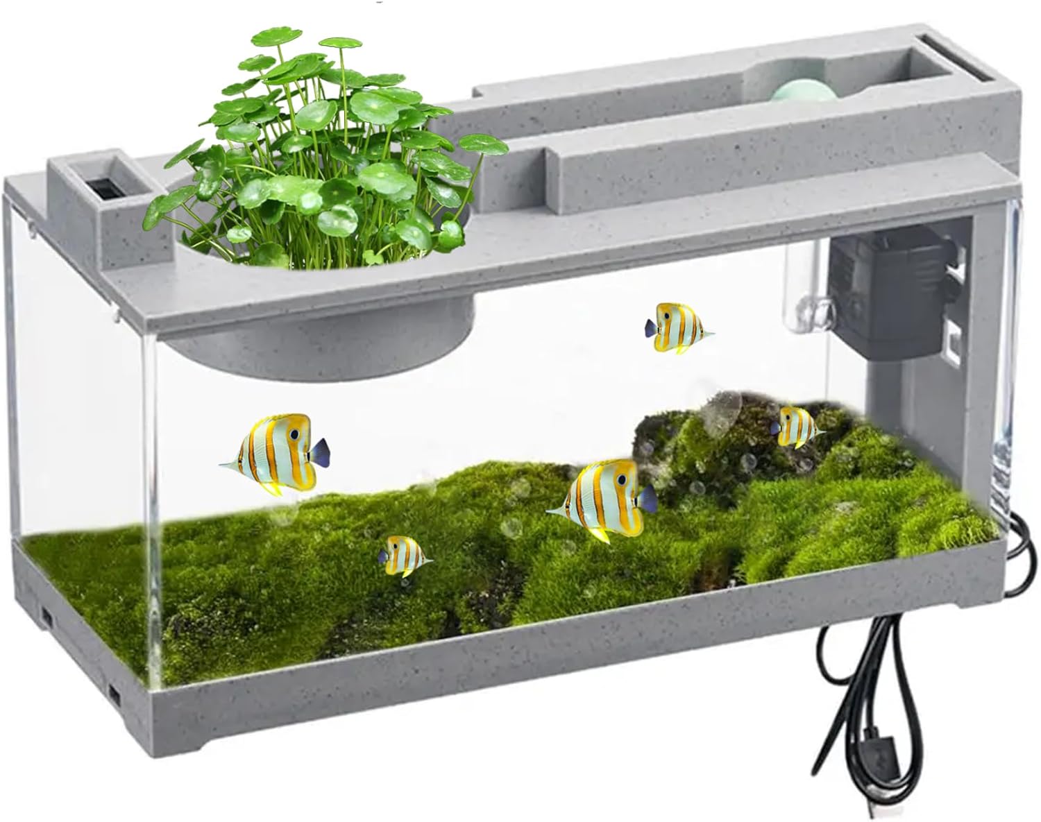 Small Aquarium|Fish Tank Quiet Small Aquarium 3 in 1 Tank with Filter, Light ＆ Water Pump Desktop Fish Water Cycling Betta for Office & Home Decor
