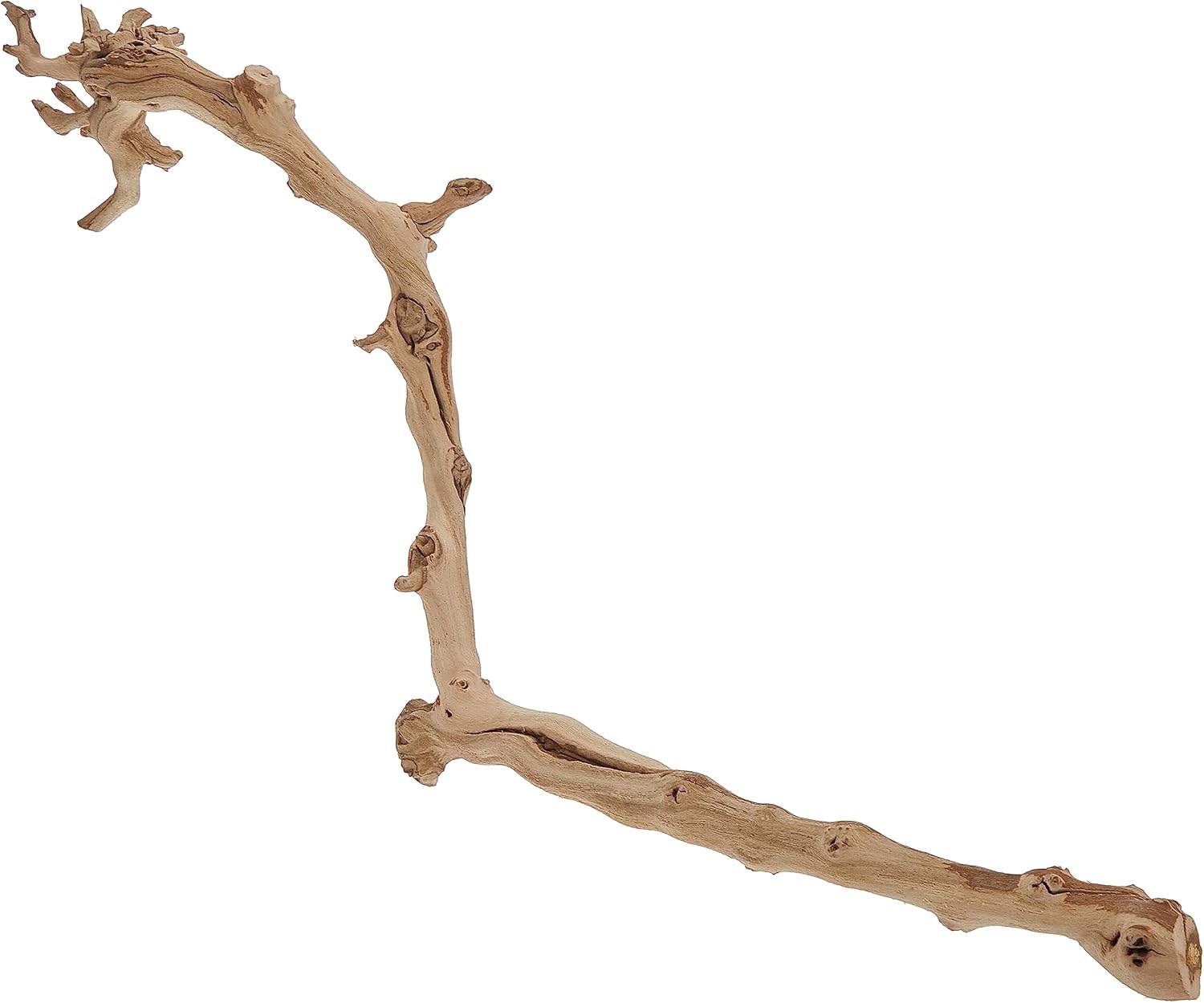 Exo Terra Forest Branch, Large