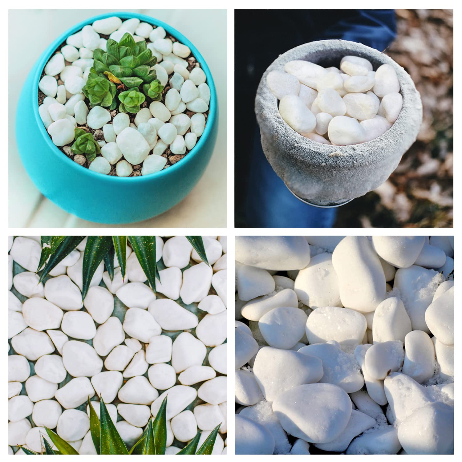 Unpolished White Pebbles 10 Lb. - 1 inch Pebbles for Plants, Gardens, Fish Tank Gravel, Décor, Landscaping, Succulent, Terrarium, 100% Natural Stone Pebbles Decorative Rocks, Matte White Finish