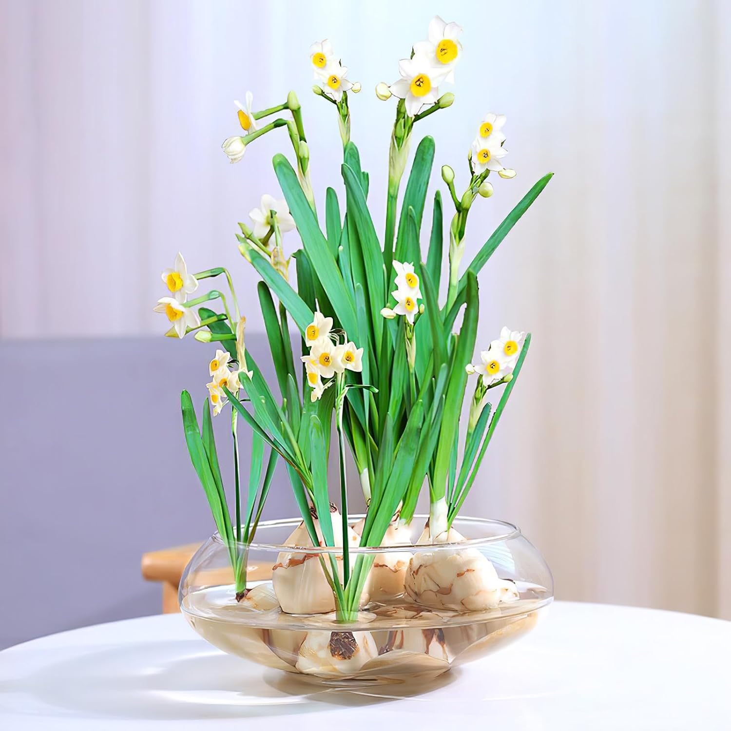 Plastic Fish Bowl: 2800ml Round Terrarium Vase for Small Fish Water Plants - Betta Tank Flower Container Bowl for Office Living Room Or Decoration