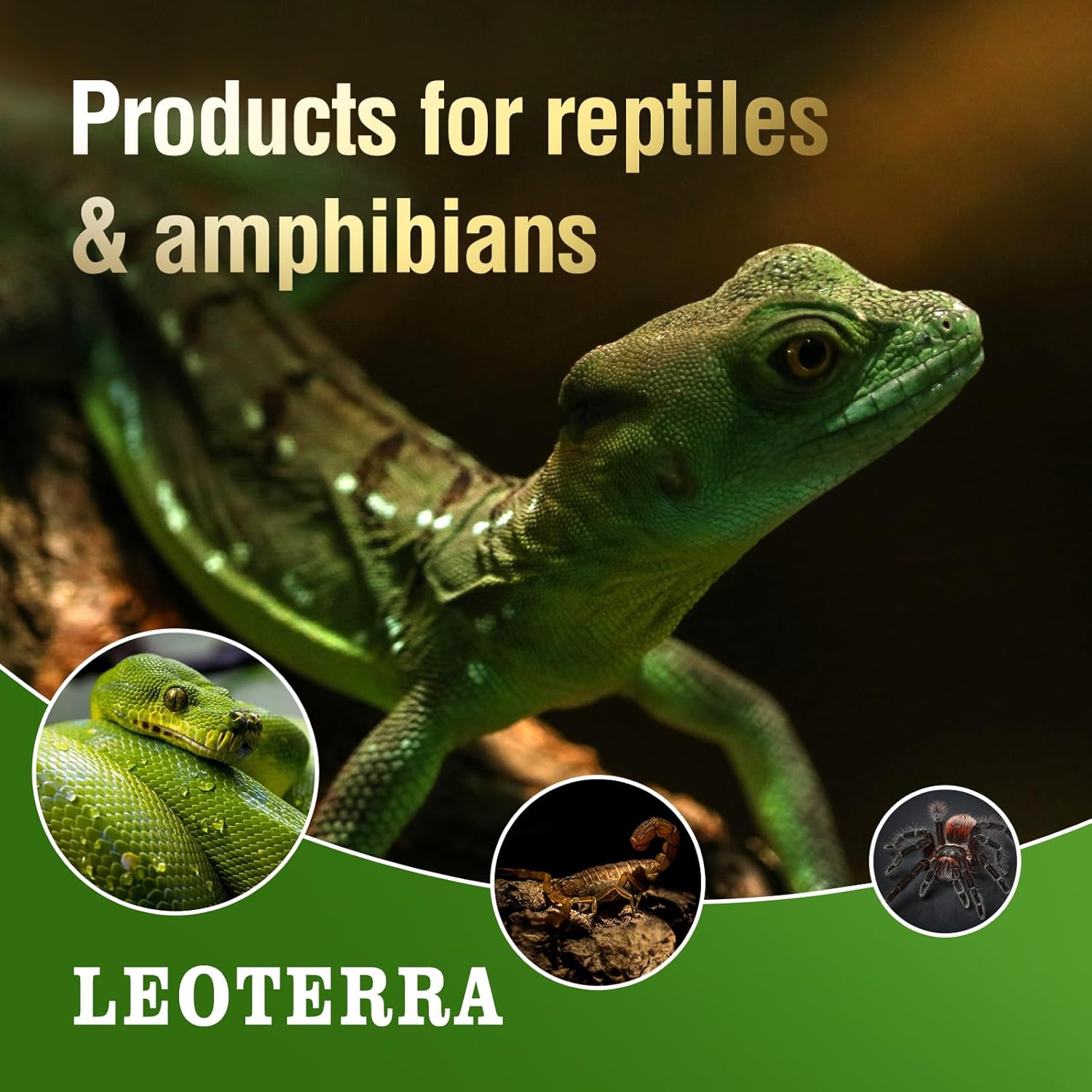 Leoterra 75W Reptile Heat Lamp Bulb 2-Pack, Night Black Moonlight Infrared Heat Lamp for Nocturnal Reptiles, Thermostat Compatible Basking Spot Light for Bearded Dragon, Turtle, Snake Tank Terrarium