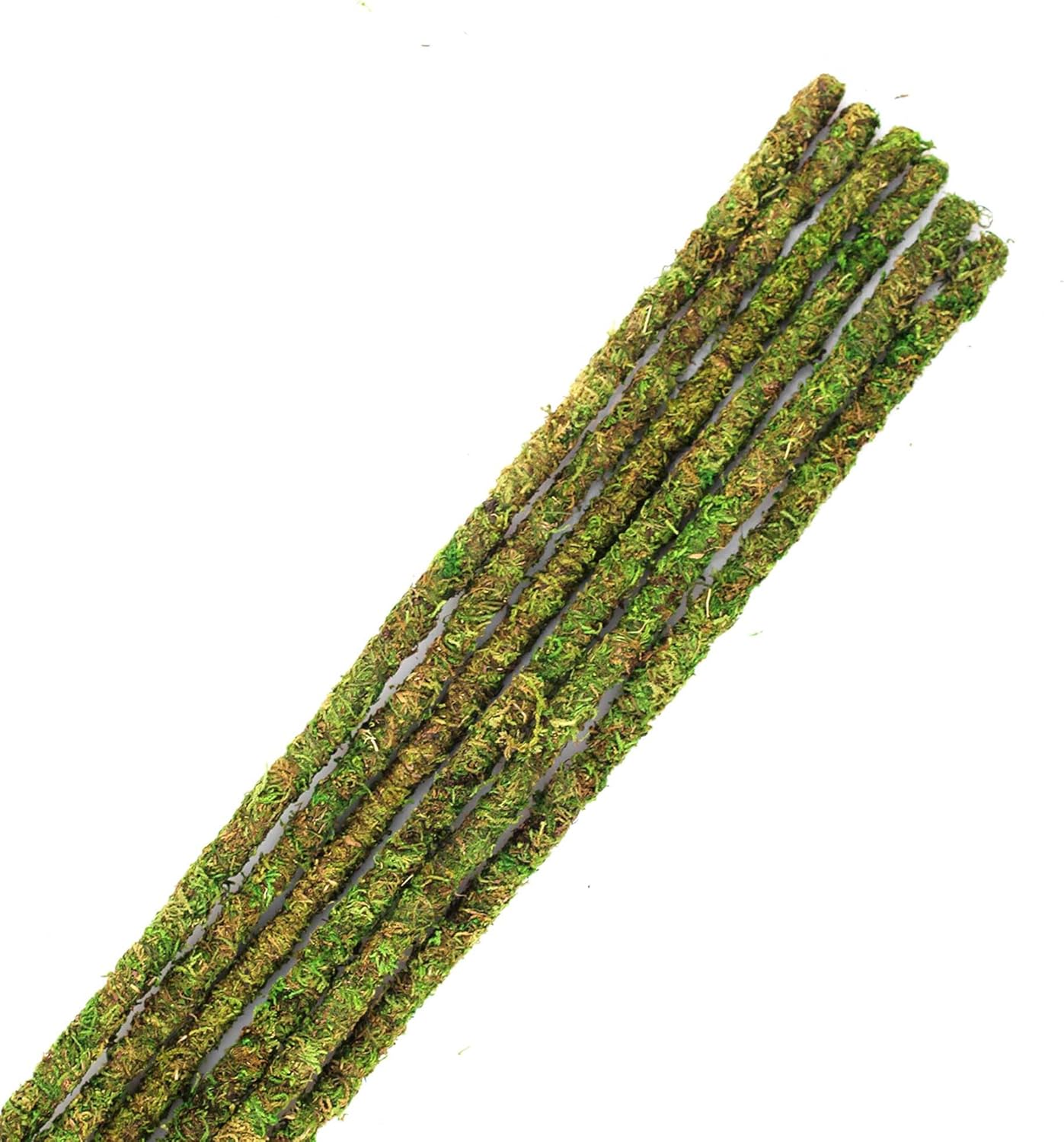 Galápagos (05322) Mossy Terrarium Sticks (6 Pack), 32"