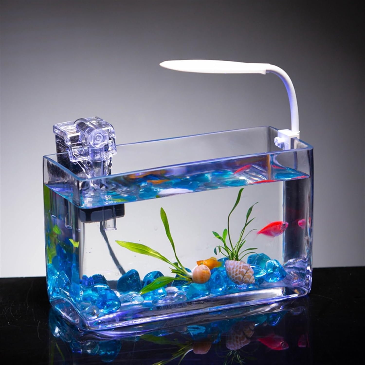 Fish Tank, Glass Aquarium, Living Room, Small Rectangular mini Aquarium