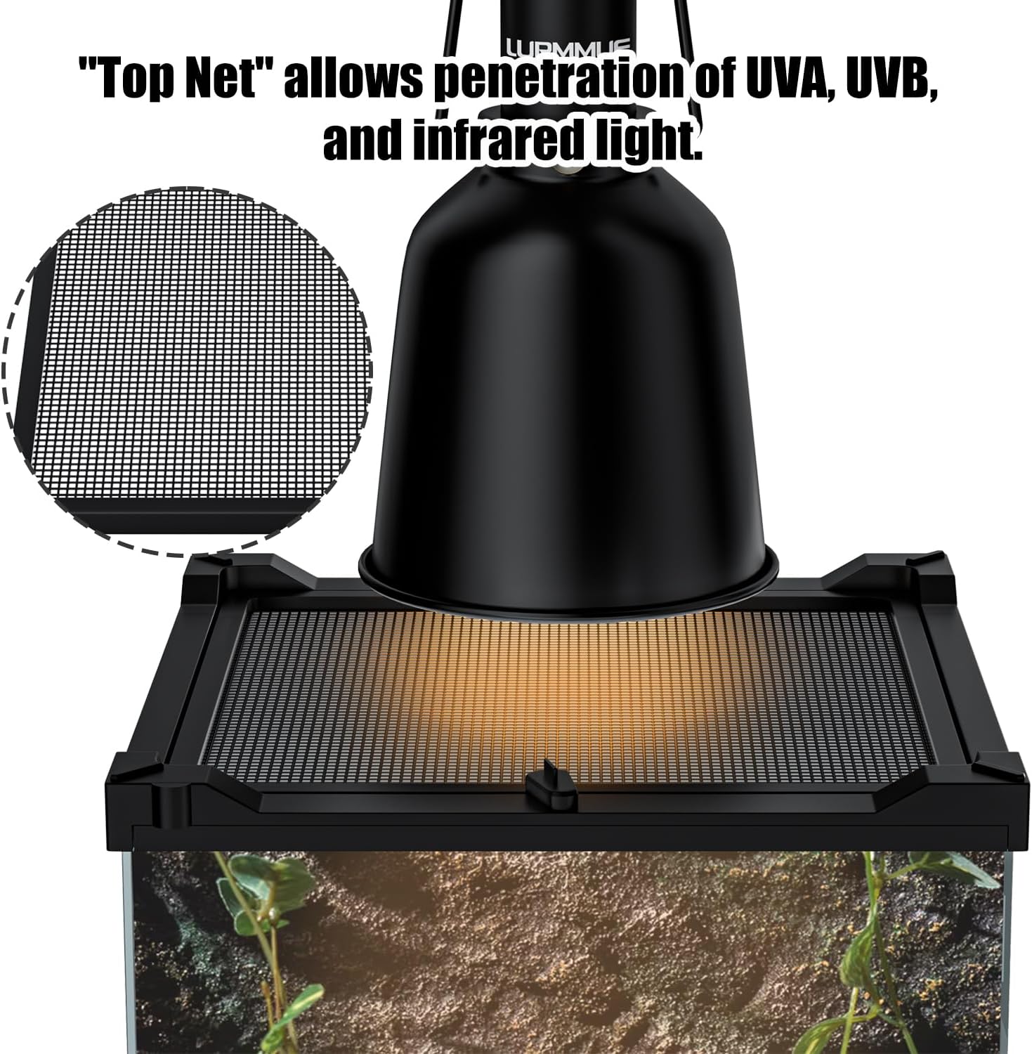 Reptile Terrarium 8"x8"x12" Mini, Front-Opening Glass Tank with Mesh Lid & Lock, 360° Glass Enclosure for Small Reptiles, Frogs, Tarantulas, Jumping Spiders & Geckos