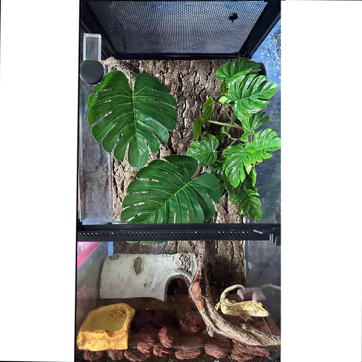 Woyrise Reptile Plants for Terrarium, Artificial Hanging Plants with Suction Cups, Amphibian Tank Habitat Decor Plastic Plant for Bearded Dragons Lizards Snake Geckos Frogs - 2Pack Fake Monstera