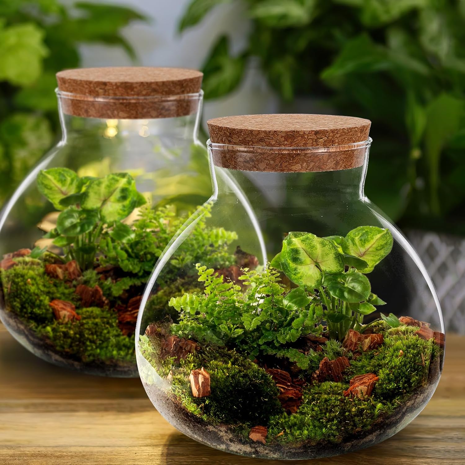 Milisten Glass Plant Terrarium, Cork Micro Landscape Terrarium, Glass Fish Bowl Vase Container, Plant Propagation Station for Fish Home Office Decor, 15x16cm