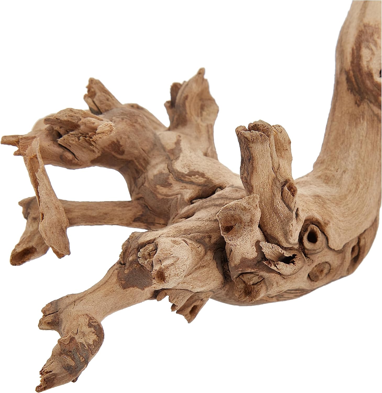 Exo Terra Forest Branch, Large