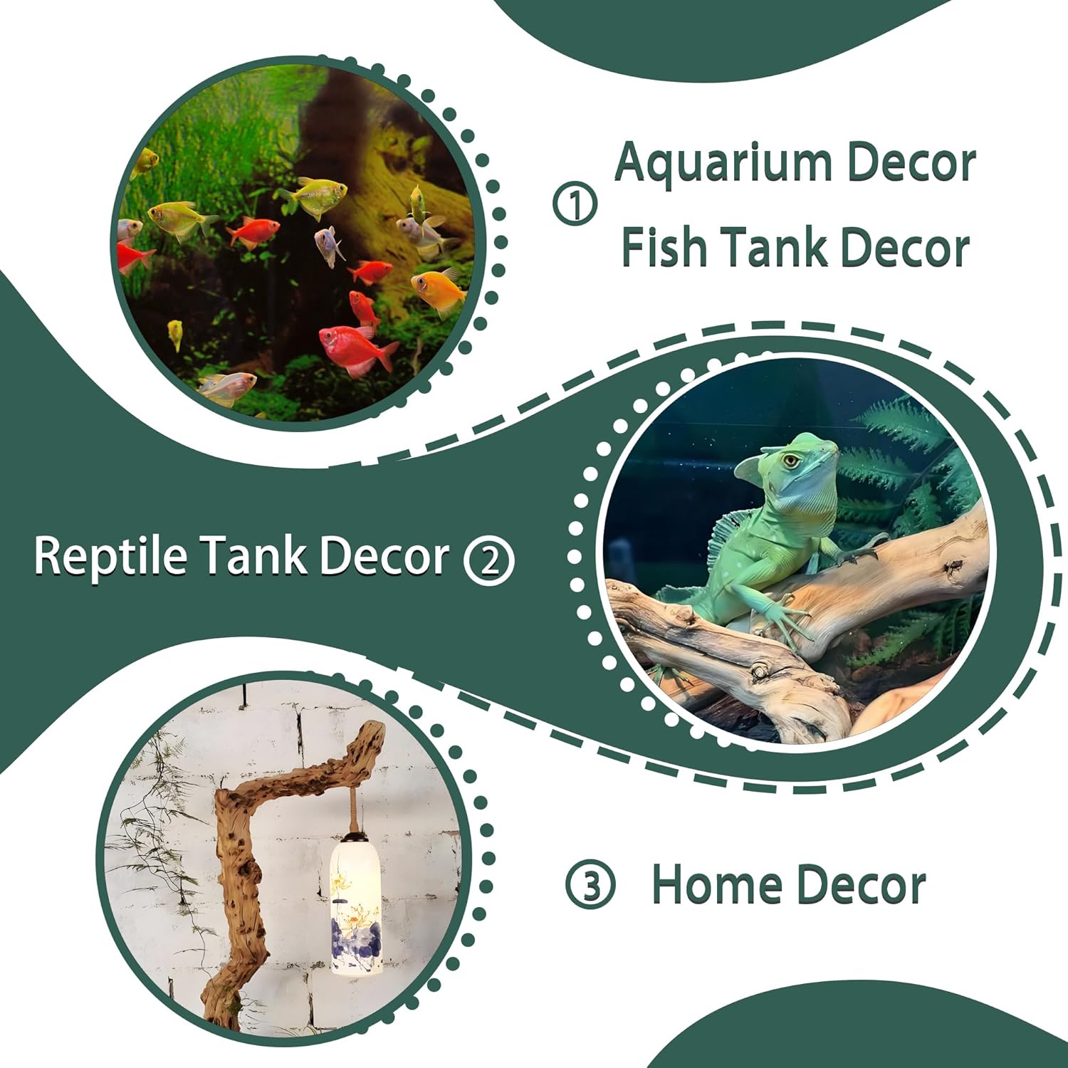 Natural Wood Driftwood for Aquarium Fish Tank Decor,Assorted Driftwood Trunk Branch for Reptile Tank Decor (SLM-Trunk M (13 to15 Inch)-Pack of 2)