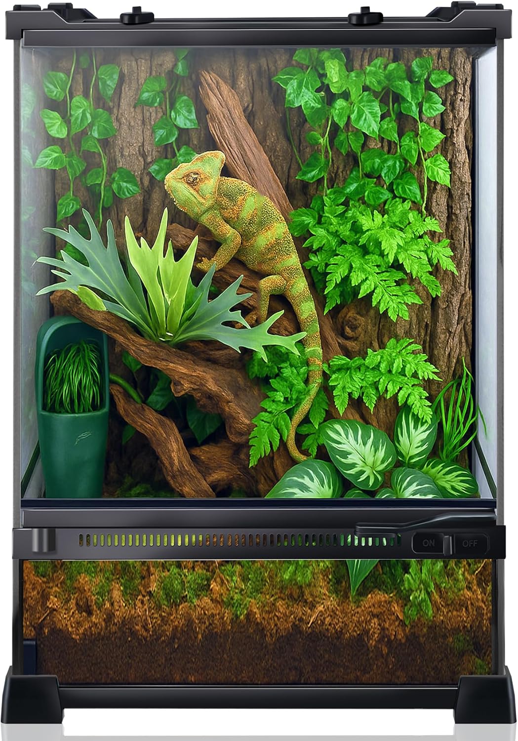 Reptile Terrarium 10"x10"x14", Full Glass Tank Enclosure for Small Reptiles, Geckos, Frogs, Lizards, Snakes, Spiders, Turtles, Vertical Rainforest Habitat
