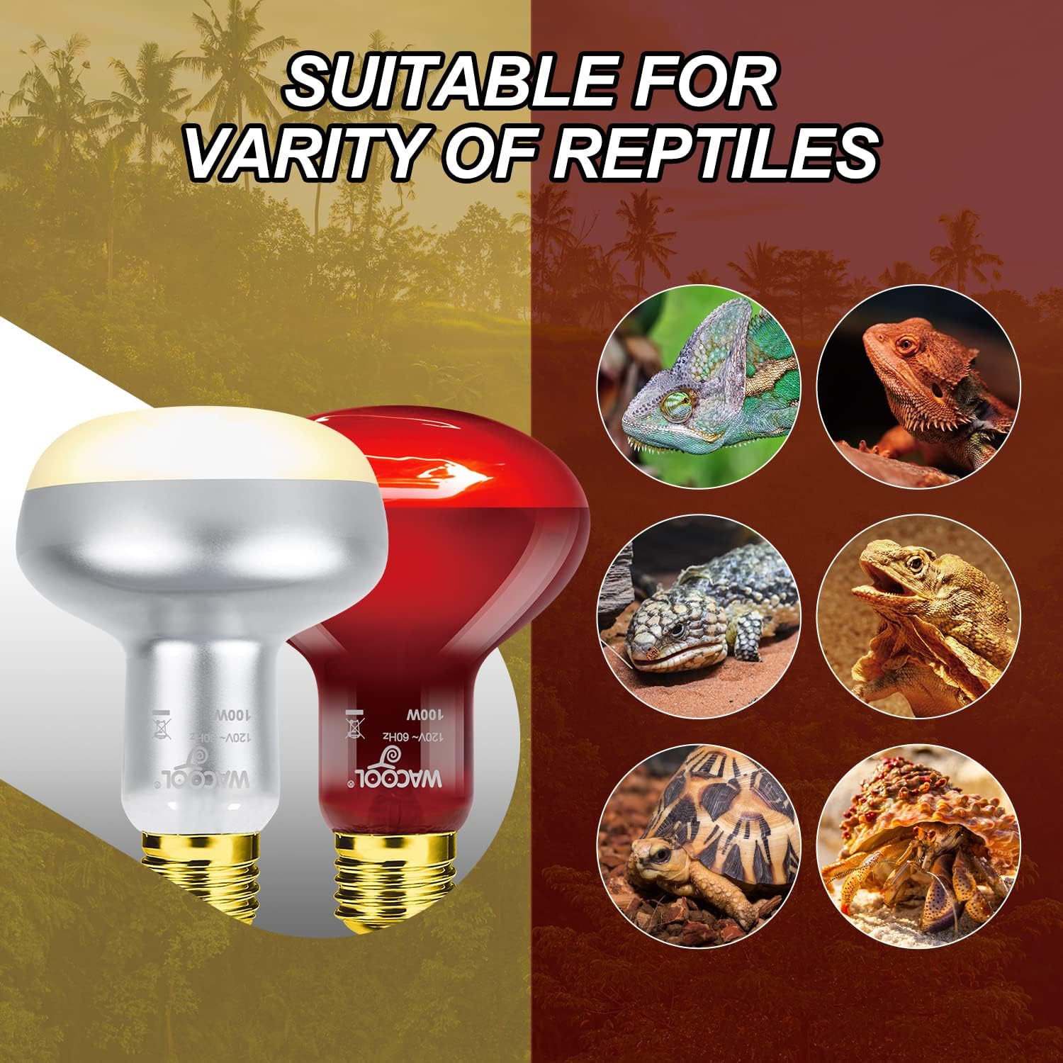 WACOOL 4Pack Reptile Heat Lamp Day & Night Kit 100W, Nature Simulated Basking Daylight & Nightlight UVA Heat Lamp Bulbs for Reptiles & Amphibians
