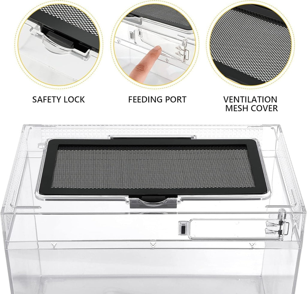 Reptile Terrarium Kit 12" x 7"x 9" Spider Tank Starter Tank, Leopard Gecko Tank, Tarantula Cage Hermit Crab Habitat, Lizard Enclosure, Insect Tank Kit, Jumping Spider Enclosure, Small Isopod Terrarium