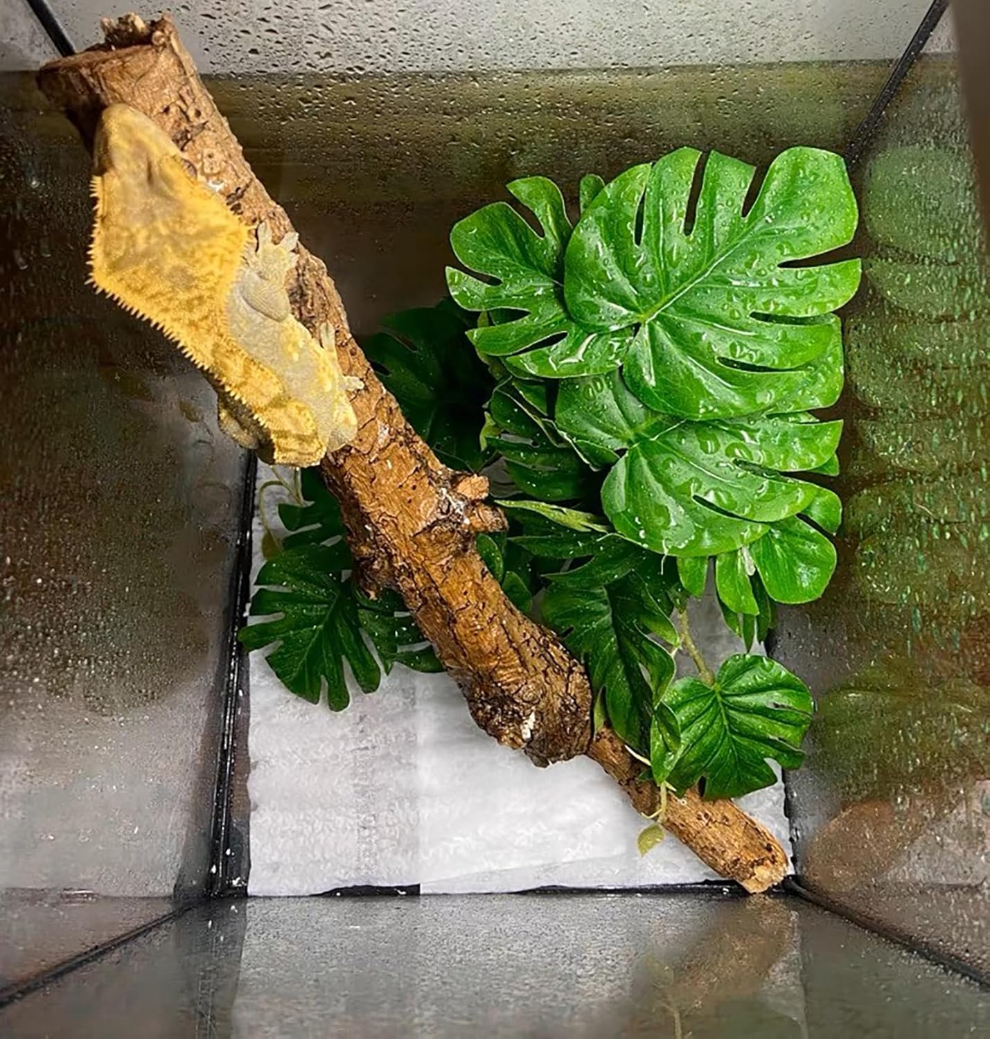 Woyrise Reptile Plants for Terrarium, Artificial Hanging Plants with Suction Cups, Amphibian Tank Habitat Decor Plastic Plant for Bearded Dragons Lizards Snake Geckos Frogs - 2Pack Fake Monstera