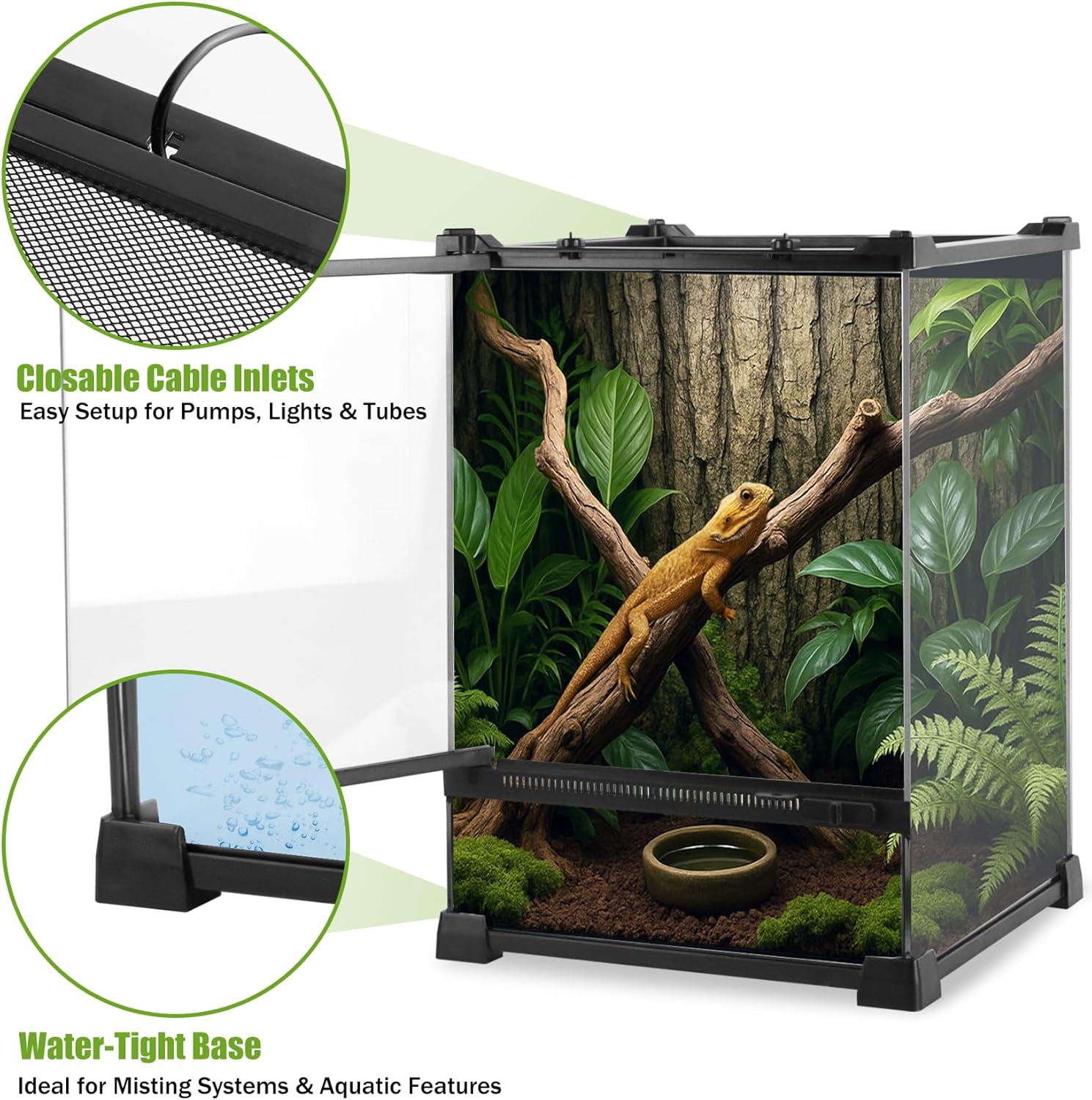 Reptile Terrarium 10"x10"x14", Full Glass Tank Enclosure for Small Reptiles, Geckos, Frogs, Lizards, Snakes, Spiders, Turtles, Vertical Rainforest Habitat