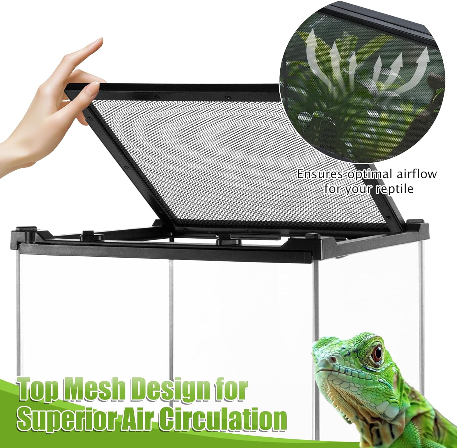 Reptile Terrarium 10"x10"x14", Full Glass Tank Enclosure for Small Reptiles, Geckos, Frogs, Lizards, Snakes, Spiders, Turtles, Vertical Rainforest Habitat