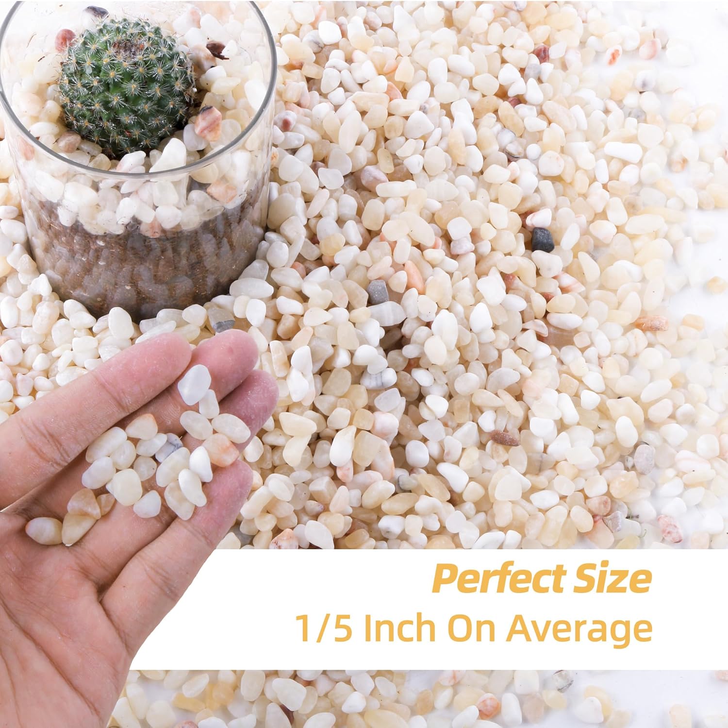 CJGQ 18lb Aquarium Gravel for Plants, 1/5Inch Outdoor Decorative River Rocks for Succulents and Cactus Landscaping, Garden Plant Natural Small Pea Gravel for Fish Tank Vases Terrarium