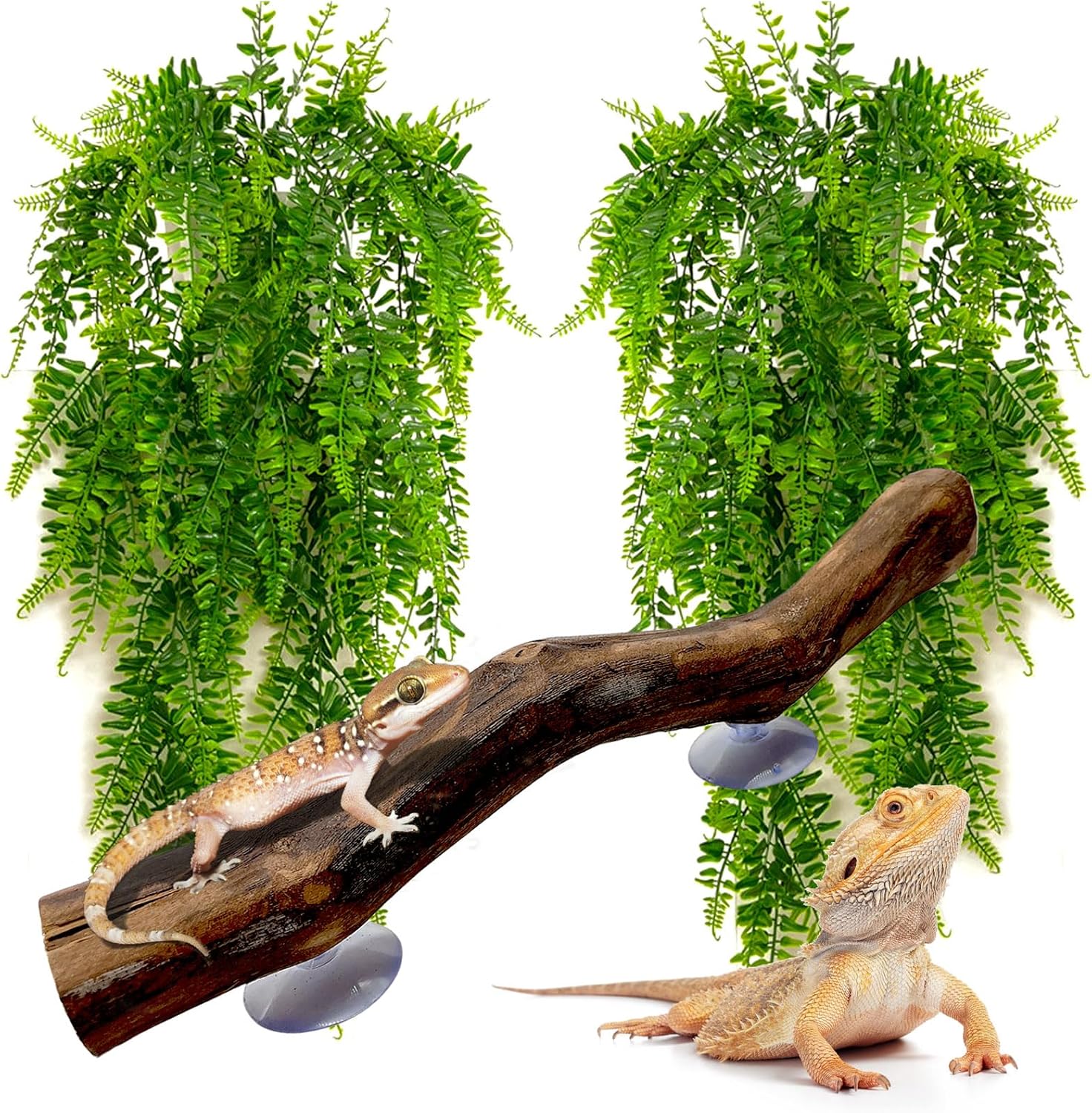 kathson Reptile Corner Branch Climbing Wood & Hanging Fake Plants,1 Reptile Branches & 2 Terrarium Plastic Plant, Bearded Dragons Tank Decor for Amphibians, Lizards, Geckos, Snakes, Frogs, Hermit Crab