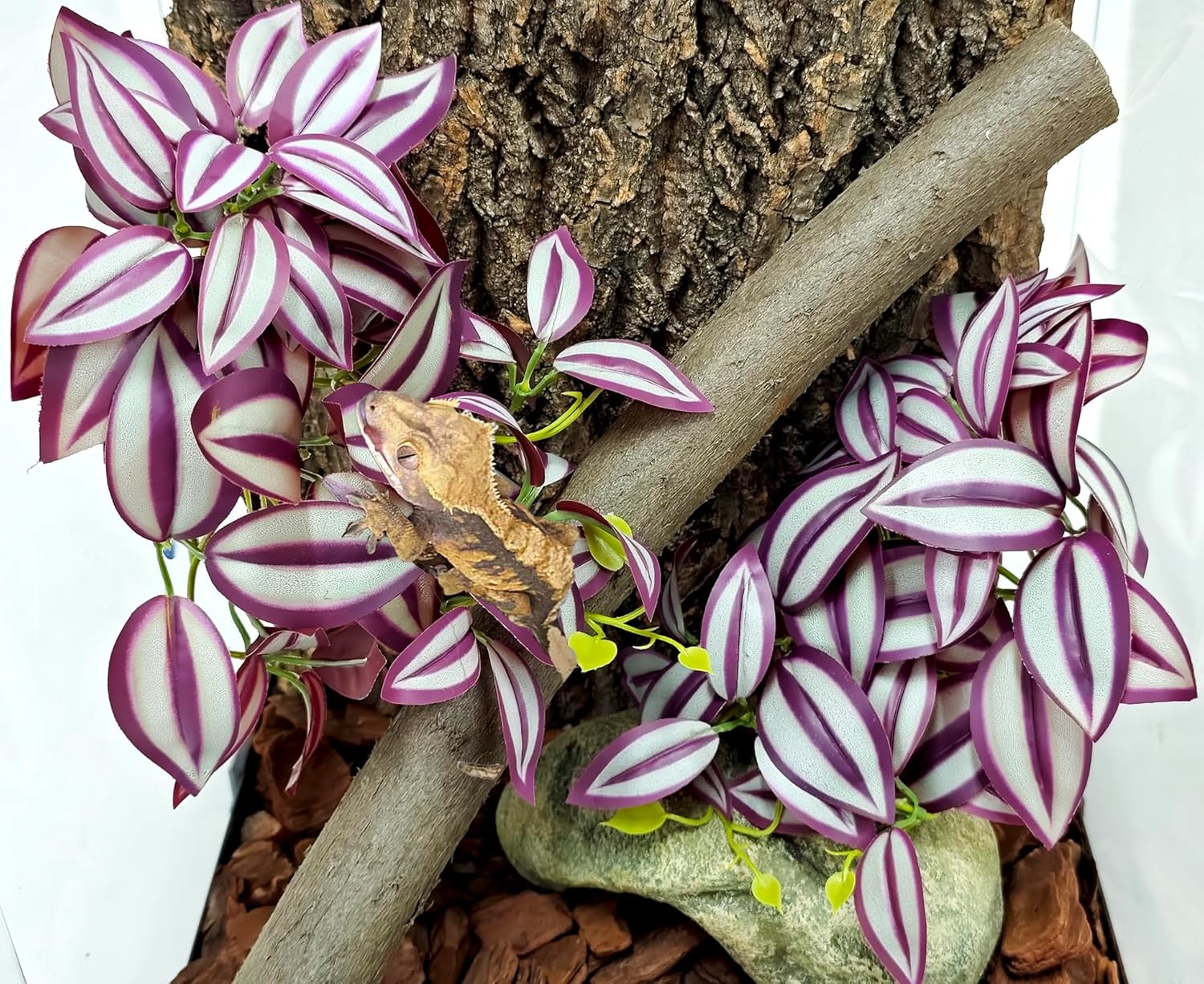 Woyrise 2 Pack Reptile Plants, Terrarium Hanging Plant Vines, Artificial Leaves with Suction Cup, Bearded Dragon Tank Accessories for Gecko Lizard Snake Frog Tortoise Decorations - Zebrina Purple
