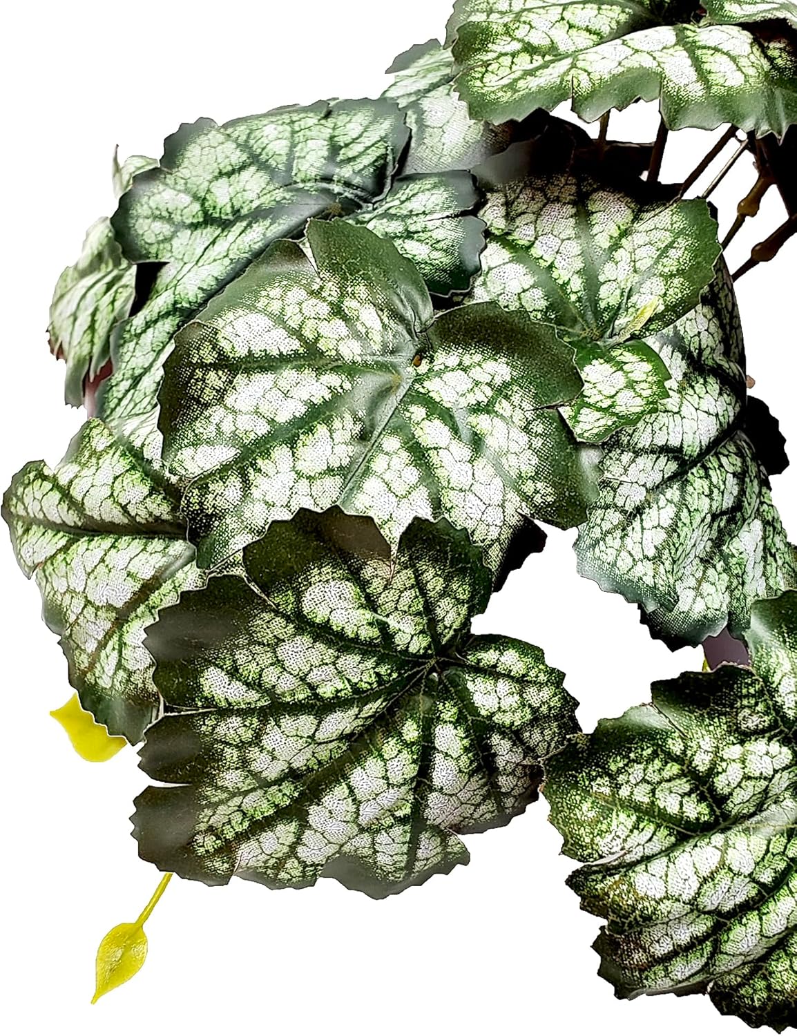 Woyrise Reptile Plants, Terrarium Hanging Plants Vines for Reptile Tank, Amphibian Habitat Leaves Decor with Suction Cups for Bearded Dragon Lizard Snake Gecko Frog Hermit Crab - 2Pack Green Heuchera