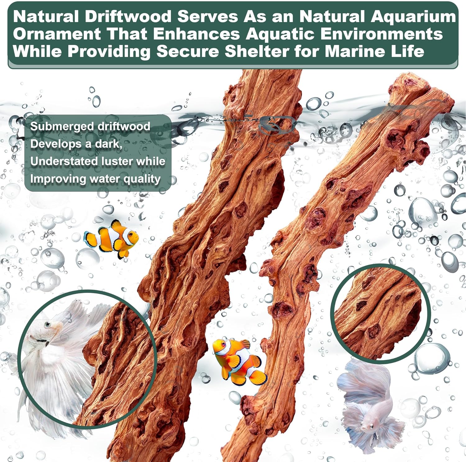 Natural Wood Driftwood for Aquarium Fish Tank Decor,Assorted Driftwood Trunk Branch for Reptile Tank Decor (SLM-Trunk M (13 to15 Inch)-Pack of 2)